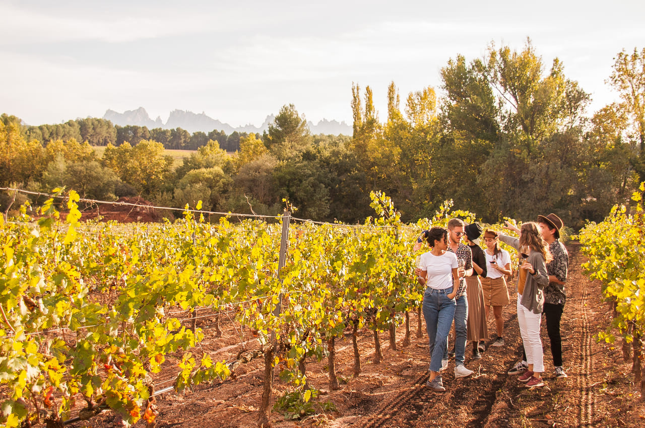 Montserrat, Food & Wine 7