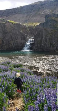 THE GREAT WATERFALL HIKE AND BIKE - Biking