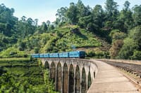 07 Day Nature & Wildlife Tour  In Sri Lanka 5