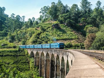 Seven-Day Wildlife Safari Tour in Colombo, Sri Lanka