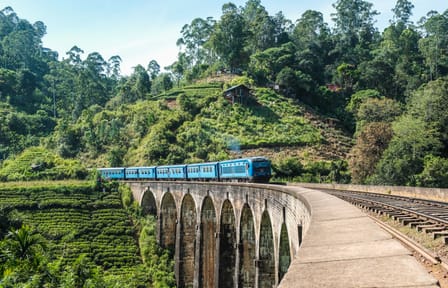 Seven-Day Wildlife Safari Tour in Colombo, Sri Lanka