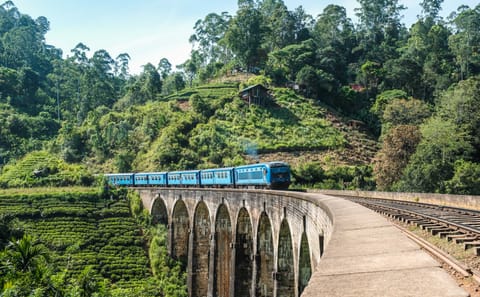 Seven-Day Wildlife Safari Tour in Colombo, Sri Lanka