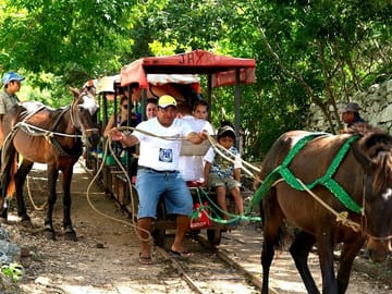 Cuzama jungle cenotes and Izamal tour