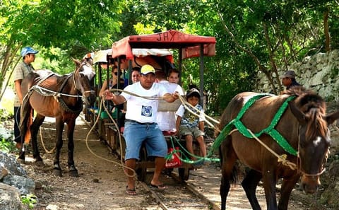 Private Day Tour from Cancun to Izamal with Lunch