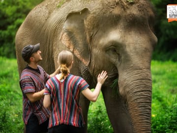 Chiang Mai Elephant Care and Conservation Volunteer Program