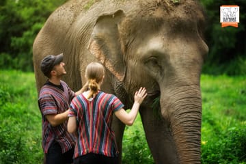 Chiang Mai Elephant Care and Conservation Volunteer Program