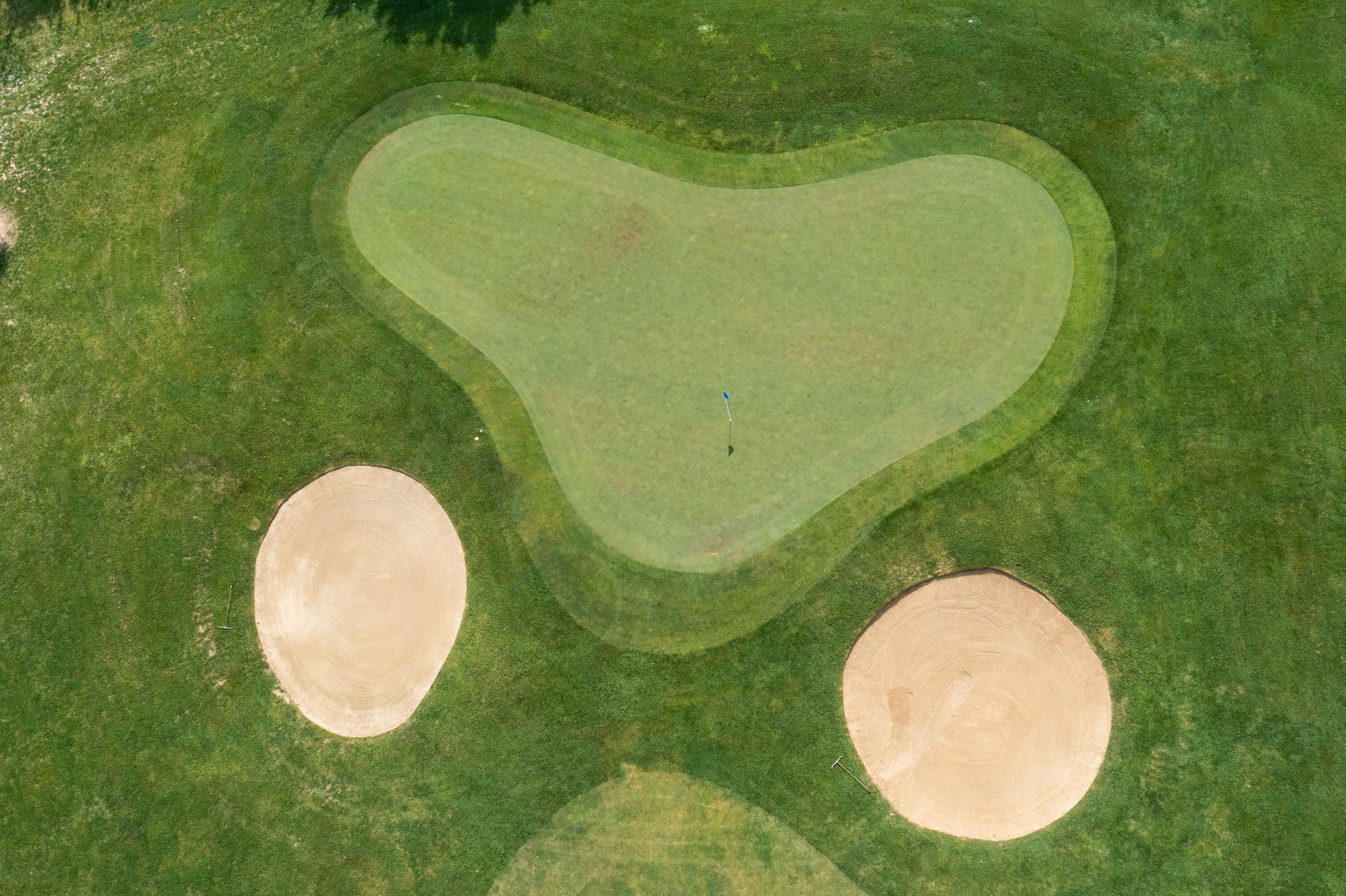 Detail of the golf course