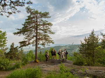 Oslofjord Scenic Hiking Tour with Guided Nature Walk