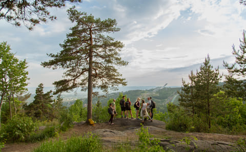 Oslofjord Scenic Hiking Tour with Guided Nature Walk