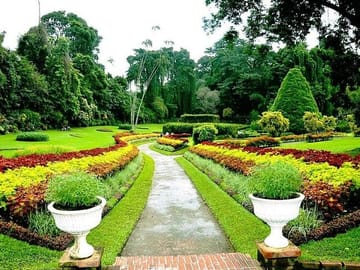 Private Cultural Sightseeing Tour in Kandy and Peradeniya