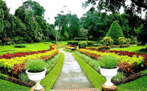 Private Cultural Sightseeing Tour in Kandy and Peradeniya