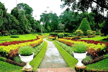 Private Cultural Sightseeing Tour in Kandy and Peradeniya