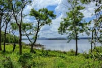 Lough Corrib History and Scenic Lake Cruise from Lisloughrey Pier Tour 5