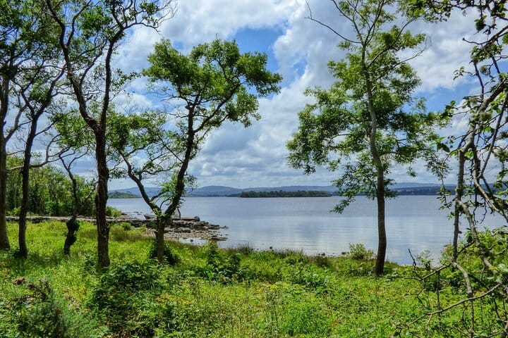 Lough Corrib History and Scenic Lake Cruise from Lisloughrey Pier Tour 5