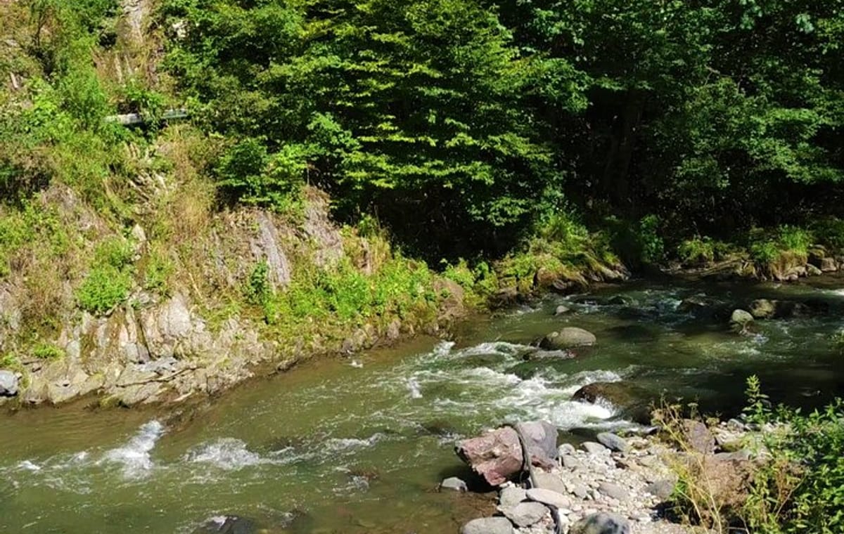 Discover Georgia: Tbilisi, Kutaisi & Batumi in 8 Days