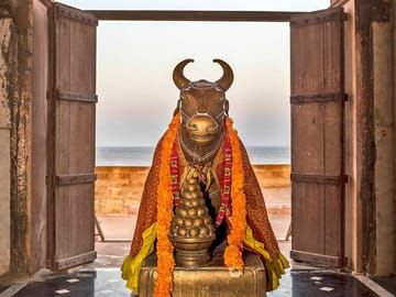 Private Day Tour from Bhuj to Narayan Sarovar Sanctuary