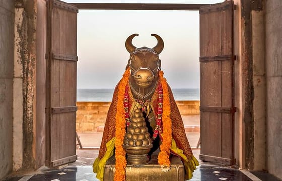 Bhuj to Narayan Sarovar Sanctuary Private Day Tour