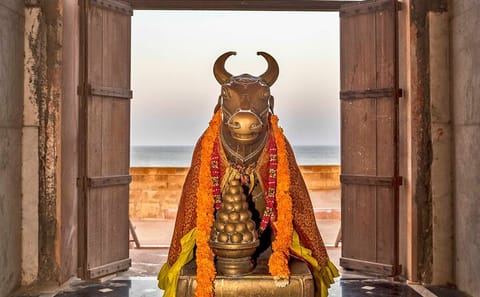 Private Day Tour from Bhuj to Narayan Sarovar Sanctuary