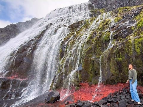 Isafjordur and Westfjords Private Tour, photo 5
