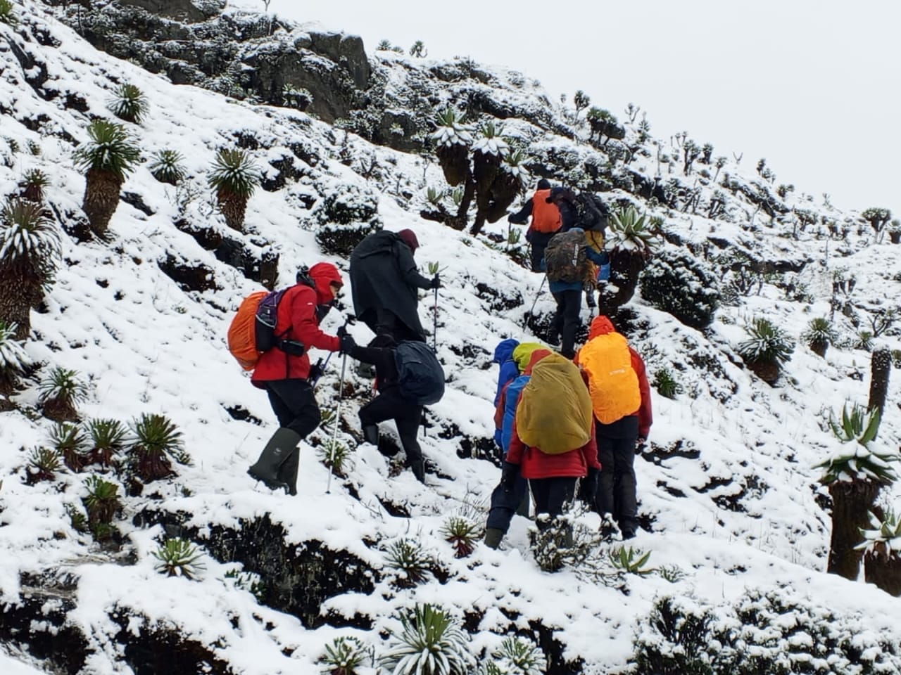 Mount Kenya-Climb-5 days-sirimon-route