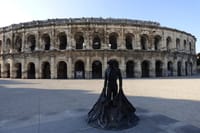 Nîmes Private Walking Tour With A Professional Guide 1