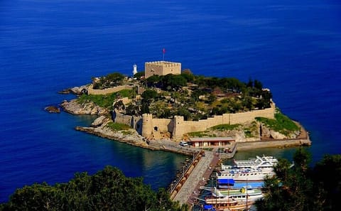 Kuşadası City Walking Tour with Turkish Carpet Experience