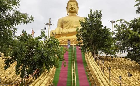 Phnom Penh Day Tour to Phnom Tamoa Wildlife Center and Ta Prohm