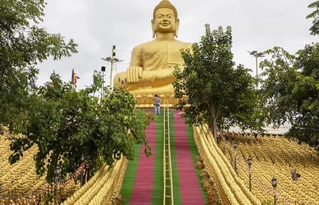 Phnom Penh Day Tour to Phnom Tamoa Wildlife Center and Ta Prohm