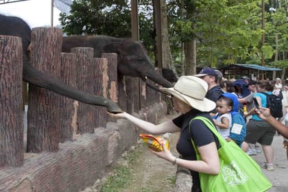 Elephant Sanctuary Tour (SIC)