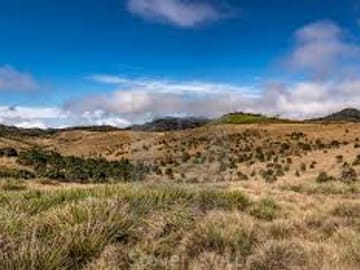 Horton Plains National Park Day Trip from Kandy