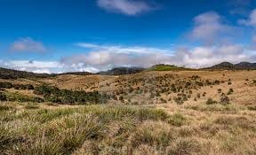 Horton Plains & World's End Trip 2