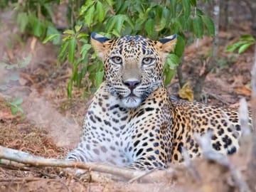 Three-Day Adventure Tour in Wasgamuwa National Park, Matale