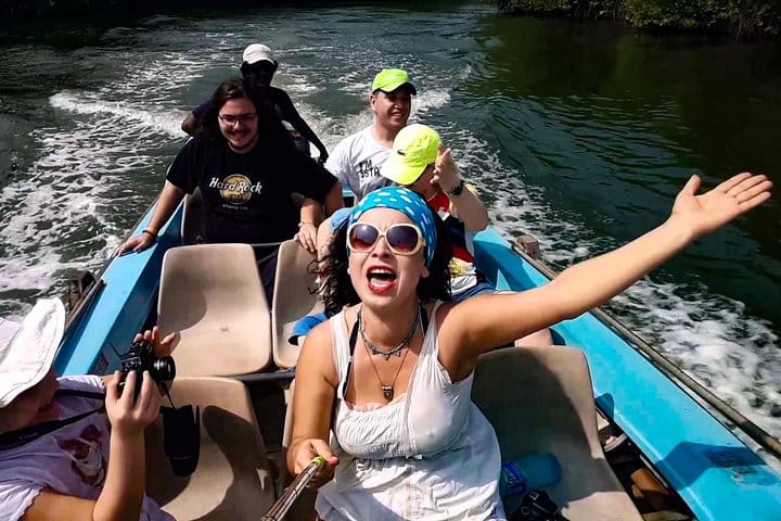 Sigiriya Rock Fortress and Cave Temples Day Trip