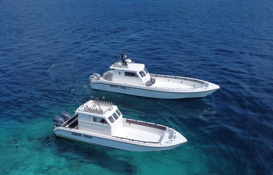 4-Hour Huvadhoo Atoll Big Game Fishing Charter