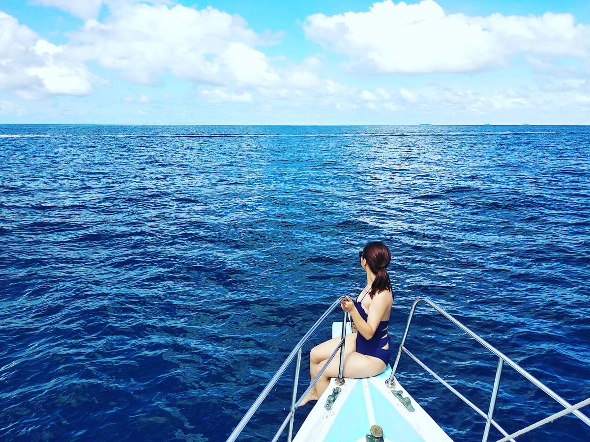 Maldives Dolphin Cruise, Sandbank Adventure & Local Island Tour