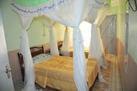Taphe rooms