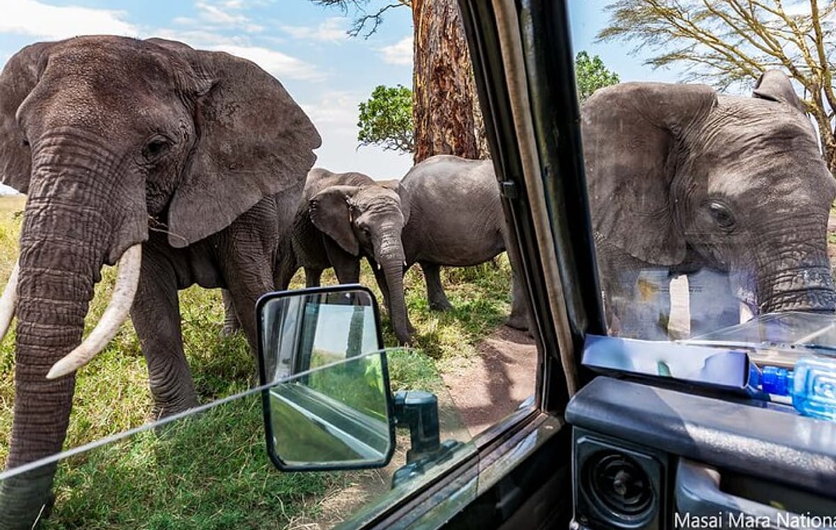 6 Days Masai Mara Serengeti and Ngorongoro on 4×4 Landcruiser