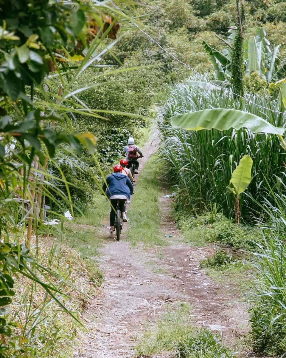 BALI X SURABAYA – BAJO 14D13N