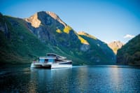 Private guided Bergen to Oslo, Viking Village, Nærøyfjord Cruise & Flåm Railway 7