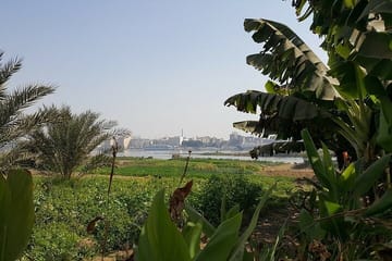 Private Motorboat Tour of Banana Island on the Nile in Luxor