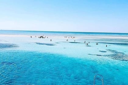 Snorkeling Trip to Ras Mohamed and White Island In Sharm Elsheikh