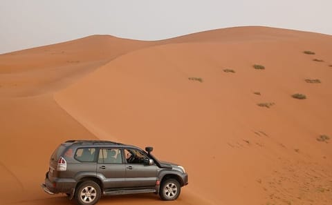 Merzouga Dunes Sunrise Jeep Tour for Nature Enthusiasts