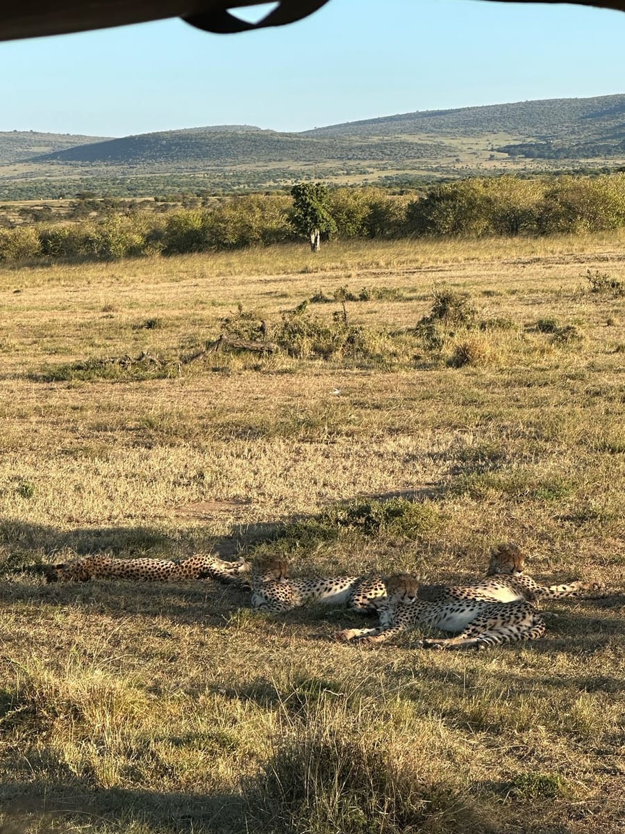 Nairobi, Naivasha, Maasai Mara & Coast Golf Adventure (9 Nights)