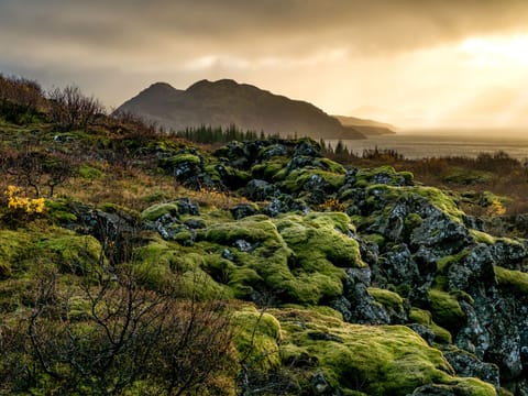 Thingvellir National Park