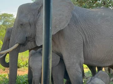 4 Days Victoria Falls Family Adventure – Private Tour for 5