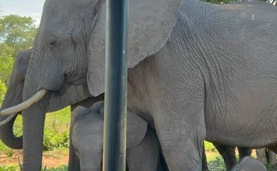 4 Days Victoria Falls Family Adventure – Private Tour for 5