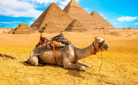 8 Days Marsa Alam Holiday with Nile Cruise and Cairo