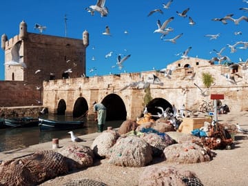 From Marrakech: A Private Day Journey to Essaouira to Mogador