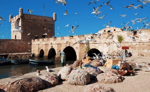 Day Trip from Marrakech to Essaouira's Historic Medina