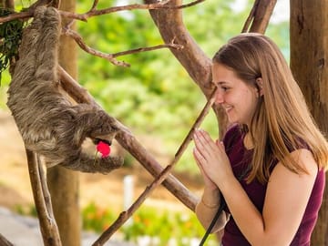 Coxen Hole Wildlife Encounter and Private Beach Day Trip